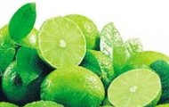 Giới thiệu các sản phẩm giải rượu
