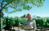 Robert Mondavi - Nhà sáng lập Hãng rượu vang Mondavi