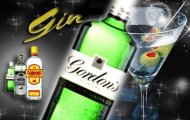 Kiến thức về rượu Gin