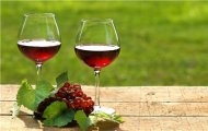 Những bài học vỡ lòng về rượu vang