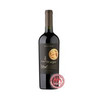 VD  SHIRAZ VITRAL MAIPO 