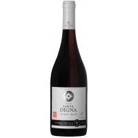 Rượu Vang Miguel Torres Santa Digna Pinot Noir 