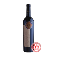 Sena Chadwich Aconcagua Valley