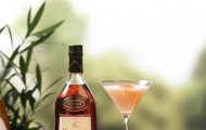 Rượu Hennessy có mấy loại phổ biến ở Việt Nam?
