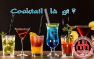 COCKTAIL LÀ GÌ? NHỮNG KIẾN THỨC THÚ VỊ VỀ COCKTAIL KHÔNG PHẢI AI CŨNG BIẾT