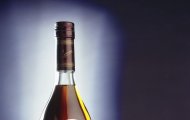 Rượu Camus 2026: Món Quà Ngoại Giao Mang Hơi Thở Của Sự Thanh Tao