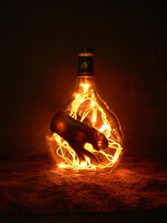 rượu Meukow Cognac, rượu ngoại, rượu giá tốt