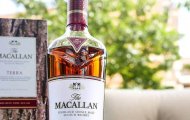 Rượu Macallan Sherry Oak 12 Năm 2026: Hương Vị Gỗ Sồi Tây Ban Nha Đỉnh Cao