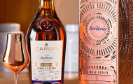 Nghệ Thuật Thưởng Thức Cognac Camus Chuẩn Phong Cách Quý Tộc Pháp