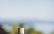 Craft Whiskey Revolution: Beyond the Big Kentucky Brands