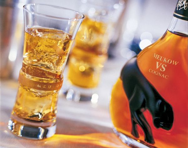 Meukow XO price 2026, premium corporate gifting spirits, Meukow gold panther bottle, luxury Cognac tasting notes, buying authentic Meukow.
