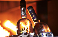 Rượu Beluga Allure Có Mạnh Không? 